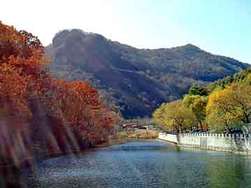 天天彩好彩天天免费，努比亚山羊价格